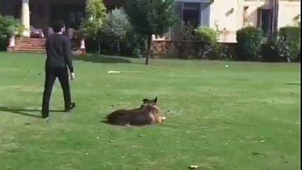 Imran Khan Plays Cricket With Reham Khan And Family