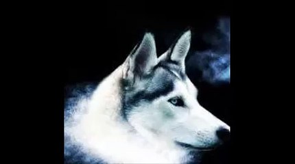 sanal radyolar için   cıngıl aç sesini kardeşim