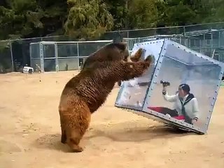 Cam Kutu İçindeki Kadının Ayı İle İmtihanı