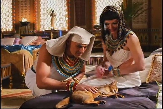 PRAGAS DA MORTE DOS ANIMAIS