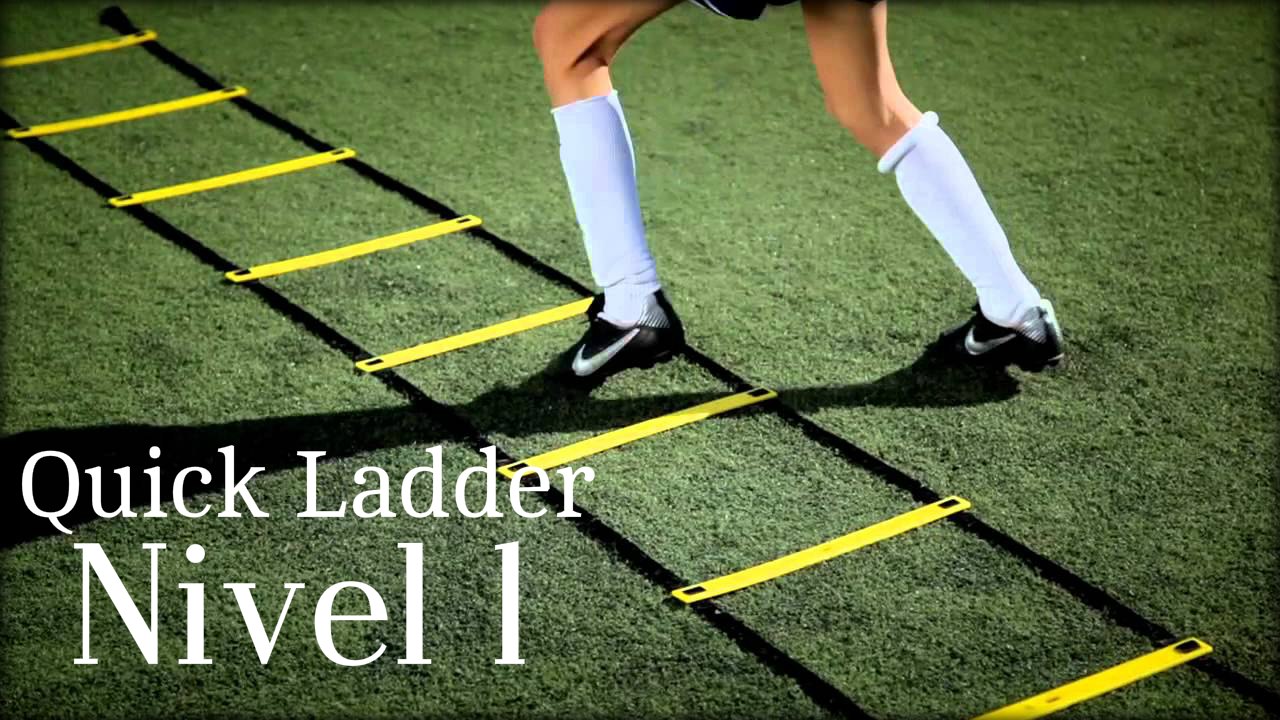 Quick Ladder (1)