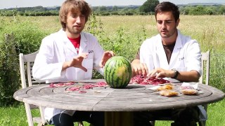 Rubber bands vs Water Melon - The Slow Mo Guys