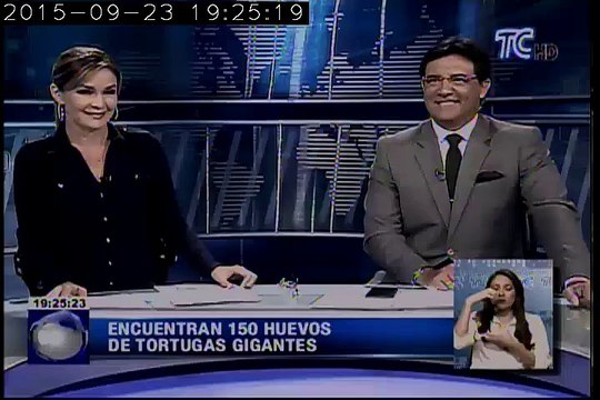 Esperanza de que las tortugas gigantes reaparezcan en las Islas Galápagos