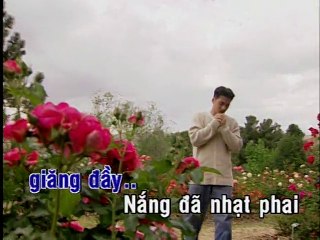 999 Đóa Hồng - Brucedoan -Thanh Son HD (FuLL Beat)1080p