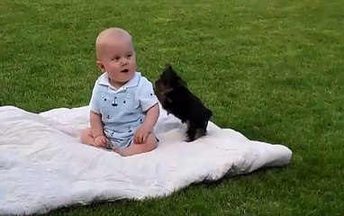 Adorable Puppy Attacks Baby - Cute Baby And Dog Funny Video