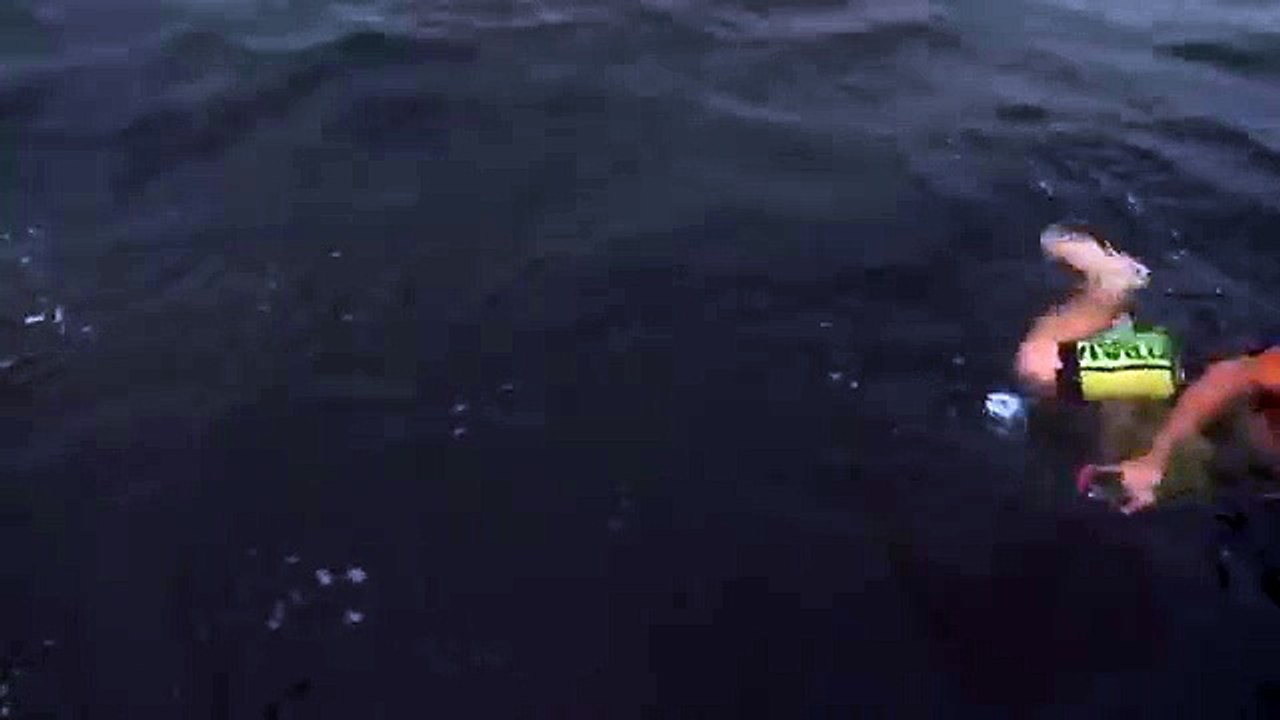 SHARK ATTACK NEAR MISS GOLD COAST