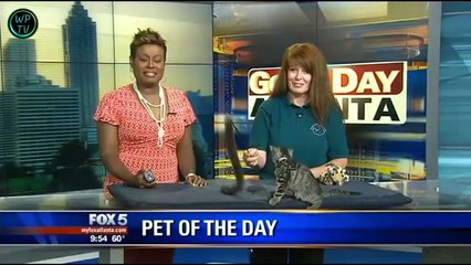 Funny videos - Fails/Wins compilation July 2015 #6 [Full Episode]