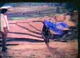 Bindi Da Lashkara MERI BINDI DA LASHKARA - Video Dailymotion