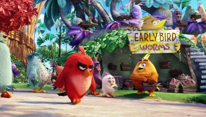 Angry Birds adapté au cinéma - Bande annonce angry birds