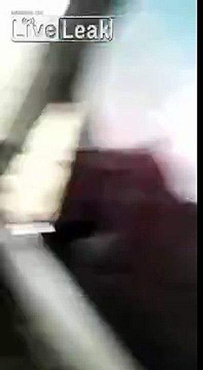 LiveLeak.com - Saudi Arabia : How to steal Goats like a pro