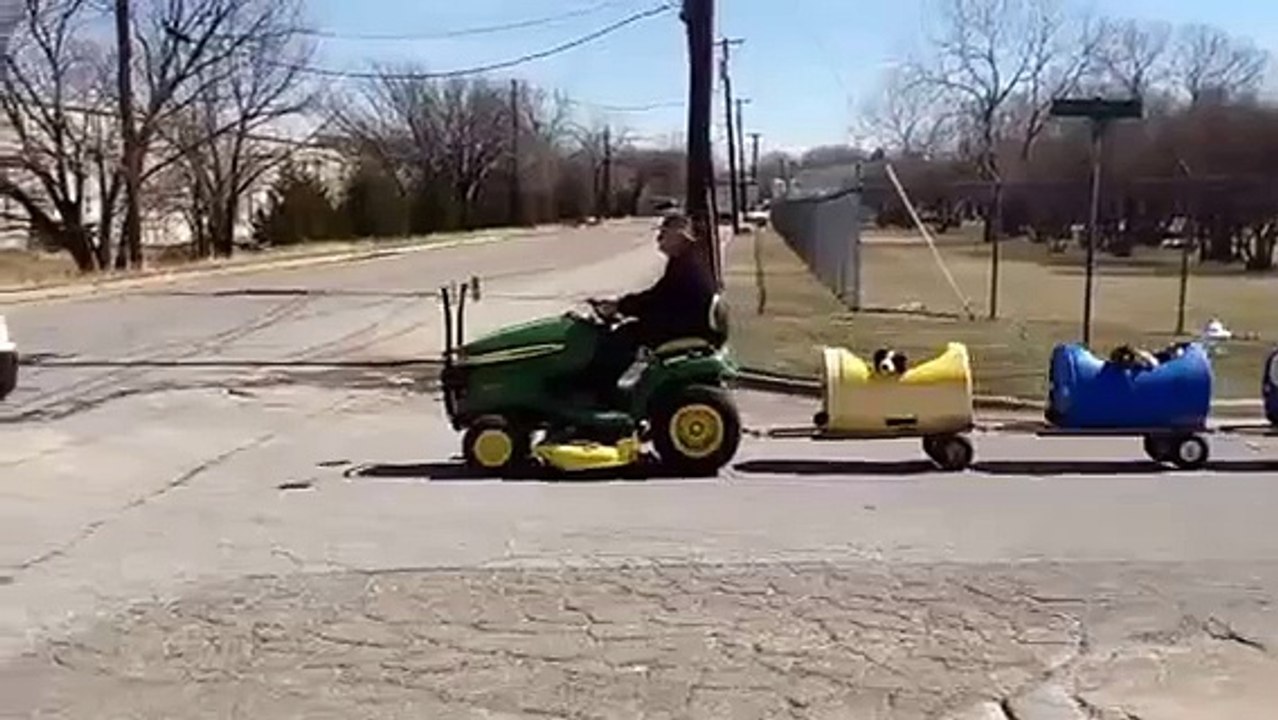 Un vieillard âgé de 80 ans construit un train pour chiens, afin d'emmener en promenade des chiens errants qu'il a adopté