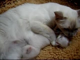 24 avril ils ont 15 jours