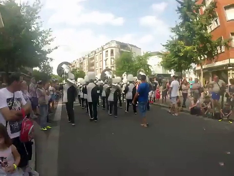 Carnaval des folie de binbin de valenciennes 2015  (4)