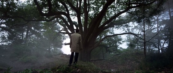 Coalition Climat 21 - Si on ne fait rien, personne ne le fera à notre place - L arbre