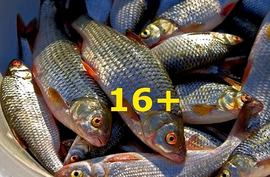 Остров невезения 2