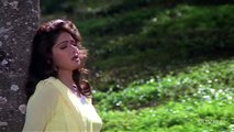 Dil Deewana Dhoondh Raha Hai - Salman Khan - Sridevi - Chand Ka Tukda - Bollywood Songs