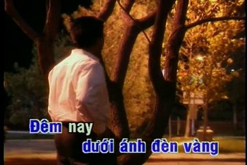 Sao đành xa anh - Chế Linh - karaoke HD beat chuẩn