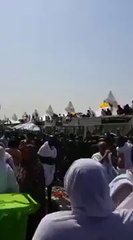 Muslims kill in Hajj 2015 at the time of Hajj stampede at Mina