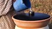 Solar Water Distiller Enables Desalination Anywhere There's Sunlight and Saltwater