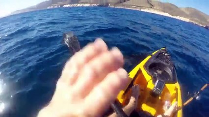 In California a man who was fishing in canoe get attacked by a shark