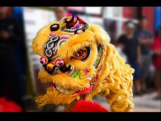 Juara ke 2 Kejuaraan Barongsai Putih