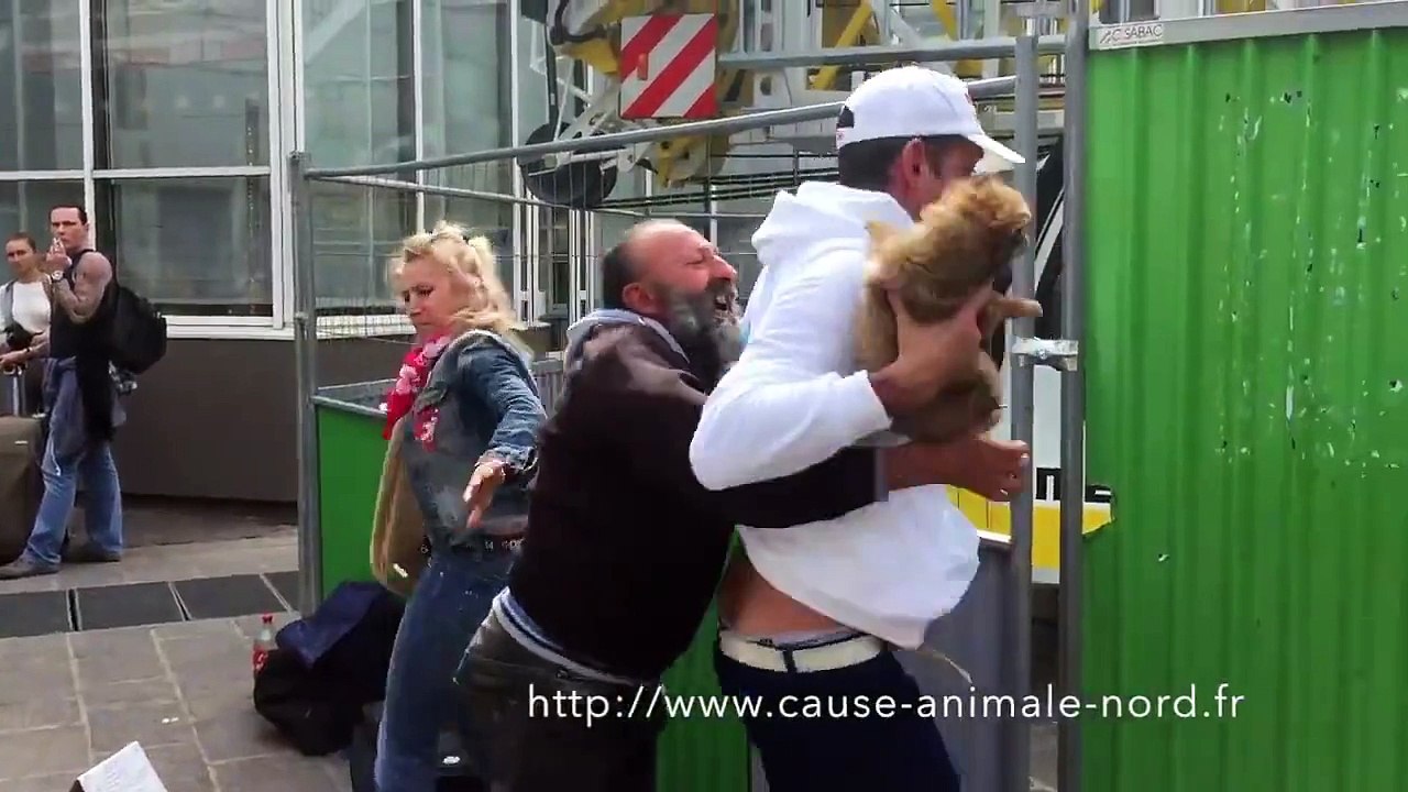 Un SDF se fait voler son chien par l'association Cause Animale Nord