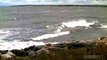 Шторм на Балтике Тюлени стонут чайки смеются Storm in Baltic Sea seals groan gulls laugh