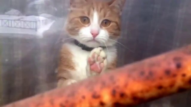 Не уходи, останься со мной