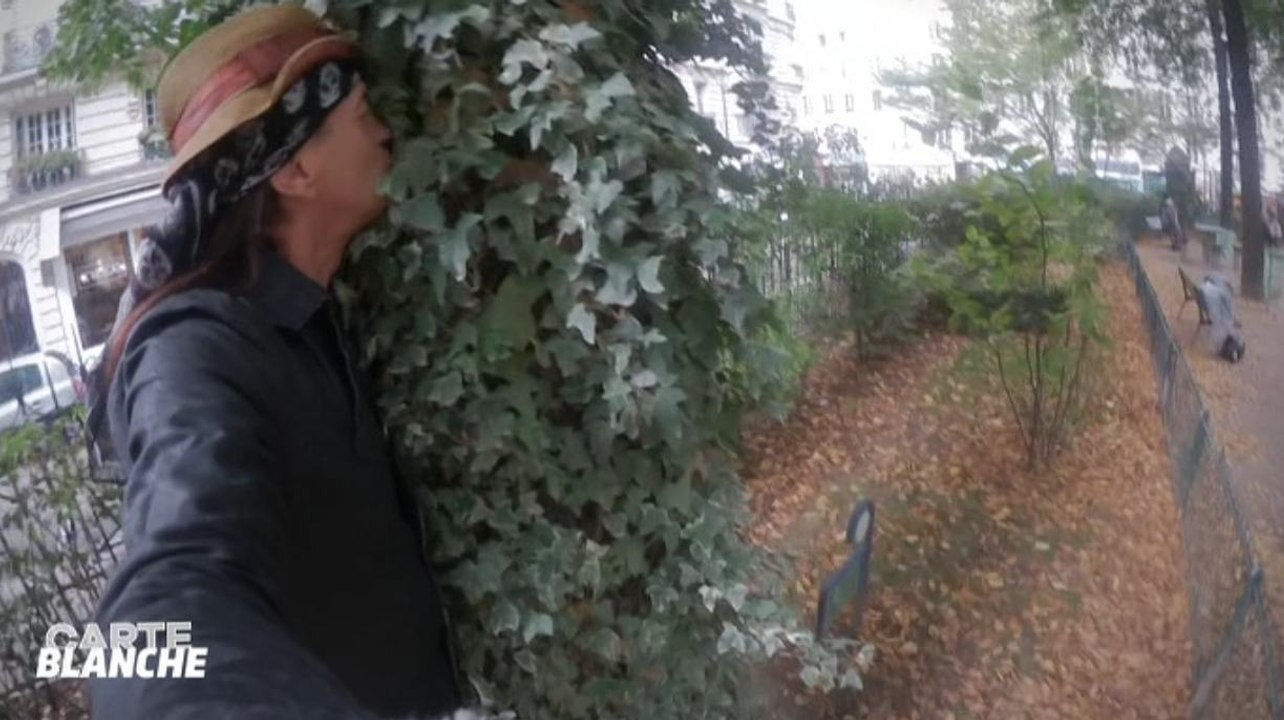 Francis Lalanne embrasse un arbre - ZAPPING PEOPLE DU 24/09/2015