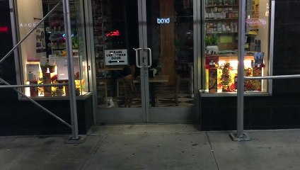 Gerçek Hayatın Tom Ve Jerry'si Olmaya Aday Kedi Ve Fare