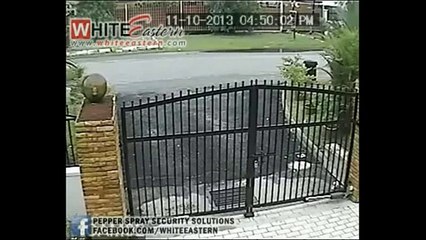 Un voleur de moto vraiment mauvais!!!