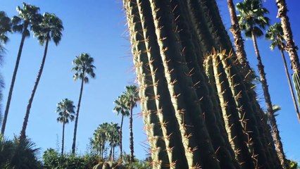 3 jours au Royal Palm de Marrakech