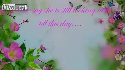 LiveLeak.com - WTF: Females caught on cam staring at man's penis?