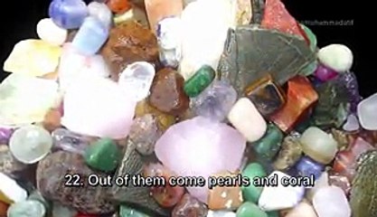 Surah Rahman - Mishary Rashid Al Afasy Quran Chappter 55 English Full HD