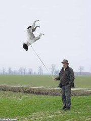 15-Things-You-Didnot-Know-About-on-Earth -must -watch- this video