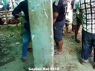 Qurbani Eid In Bangladesh 2012