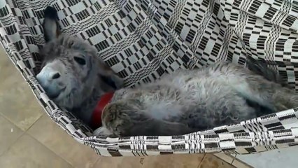 Вот так выглядит отпуск