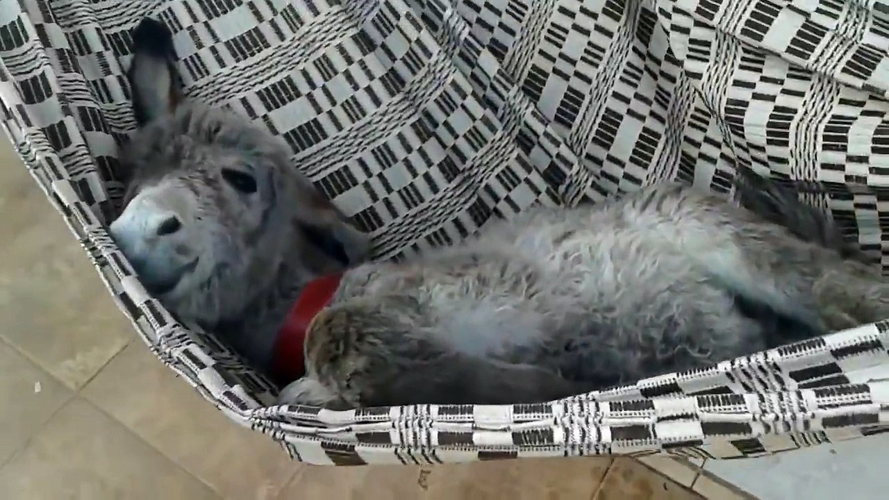 Вот так выглядит отпуск