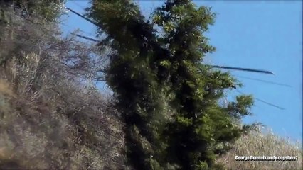 LiveLeak.com - MONSTEROUS ! Sky Crane firefight helicopter - ENORMOUS water capacity can fill up in 60 seconds.