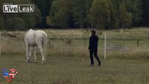 PLAY NEAR A HORSES BUTT,GET KICKED IN FACE