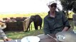 LiveLeak.com - Hungry elephant surprises tourists