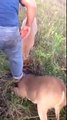 LiveLeak.com - Good guy saves antler-locked deers.