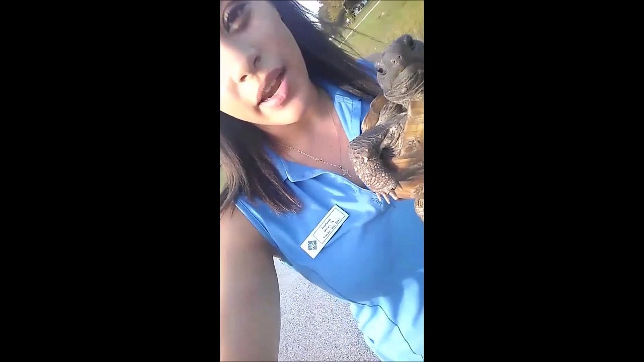 Elle pense sauver cette tortue en la jetant dans l'eau... FAIL! C'est une tortue terrestre!