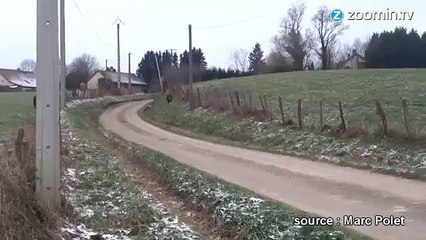 Poney VS sanglier : le combat tant attendu !