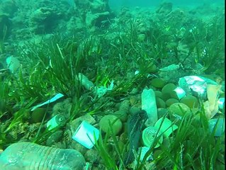 A Cannes, il filme les fonds marins... une vraie poubelle !