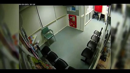 Australie : un koala se promène dans un hôpital en pleine nuit