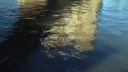 Reconstitution 3D : le Pont d'Avignon tel qu'il était en 1550