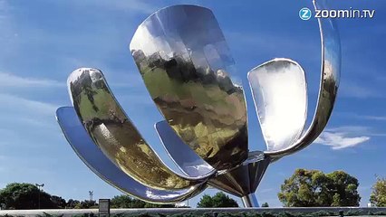 Argentine : la fleur solaire géante rouvre ses pétales