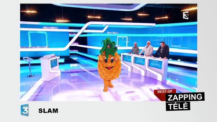 Ségolène Royal n'a pas assez d'argent pour payer ses courses !