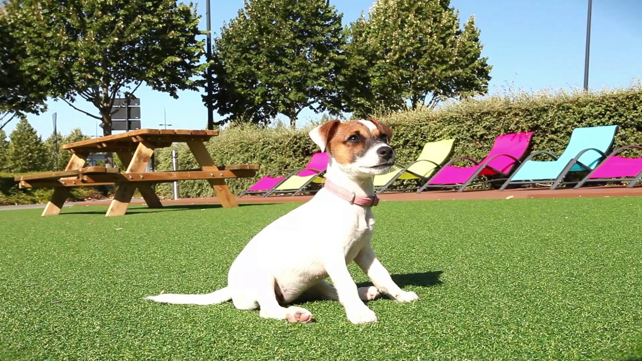 Bienvenue aux nouveaux habitants de Sénart